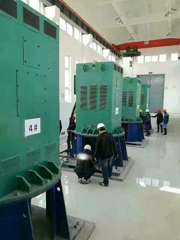 柘荣某污水处理厂使用我厂的立式高压电机安装现场安装尺寸
